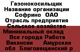 Газонокосильщик › Название организации ­ Софрино, ОАО › Отрасль предприятия ­ Сельское хозяйство › Минимальный оклад ­ 1 - Все города Работа » Вакансии   . Амурская обл.,Благовещенский р-н